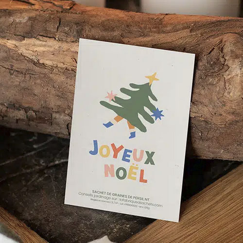 Sachet de graines de Noël à planter - Persil